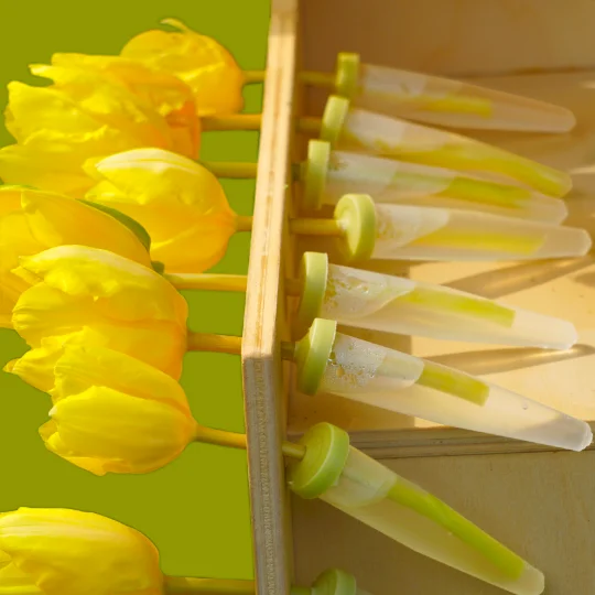 Bloembuisjes-houden-lentebloemen-lang-vers Bloembuisjes onzichtbaar verborgen achter de sierlijst van het boomvormige kastje. Bloemen kunnen langs de gehele lijst worden bevestigd.