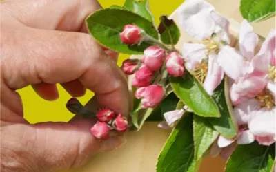 45 Lente bloemen voor activiteiten met kinderen: mooi en veilig